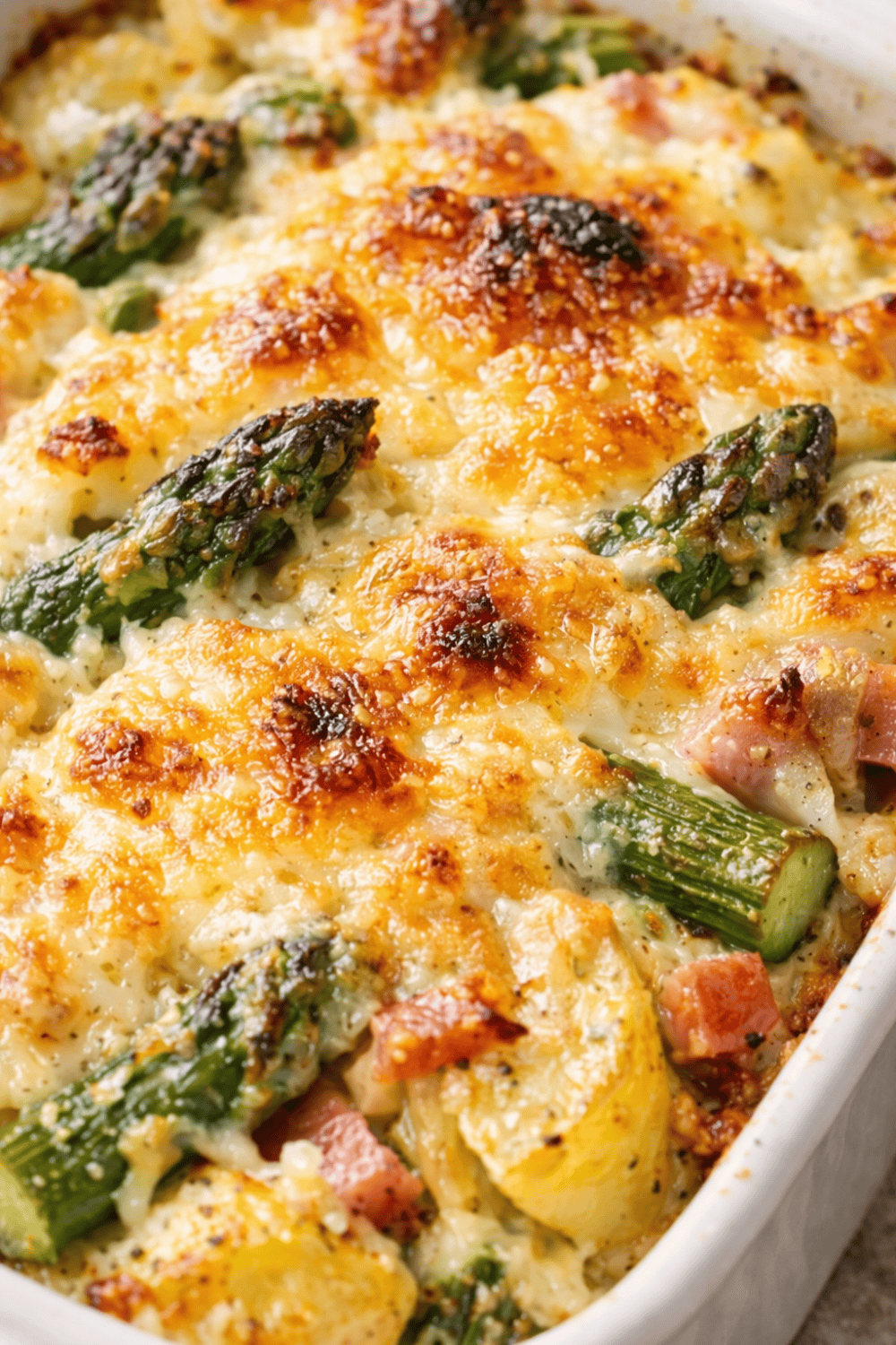 Nahaufnahme vom Spargel-Auflauf mit knuspriger goldbrauner Käsekruste, grüne Spargelspitzen und cremige Sauce erkennbar